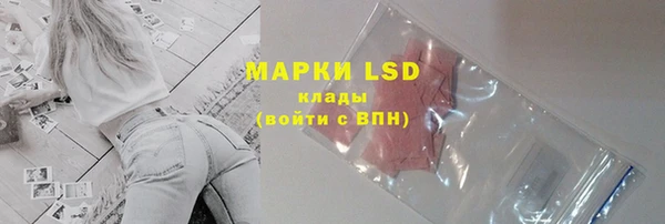 PSILOCYBIN Горнозаводск