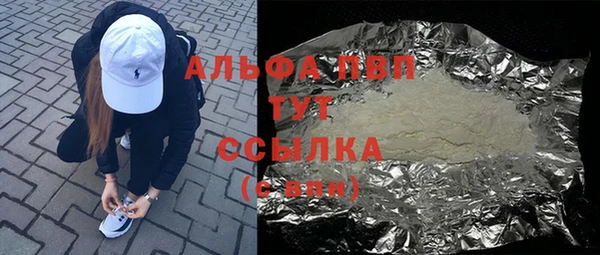 PSILOCYBIN Горнозаводск