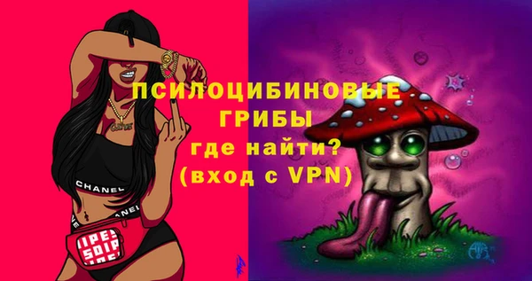 гидропоника Горно-Алтайск