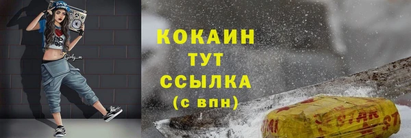 гидропоника Горно-Алтайск